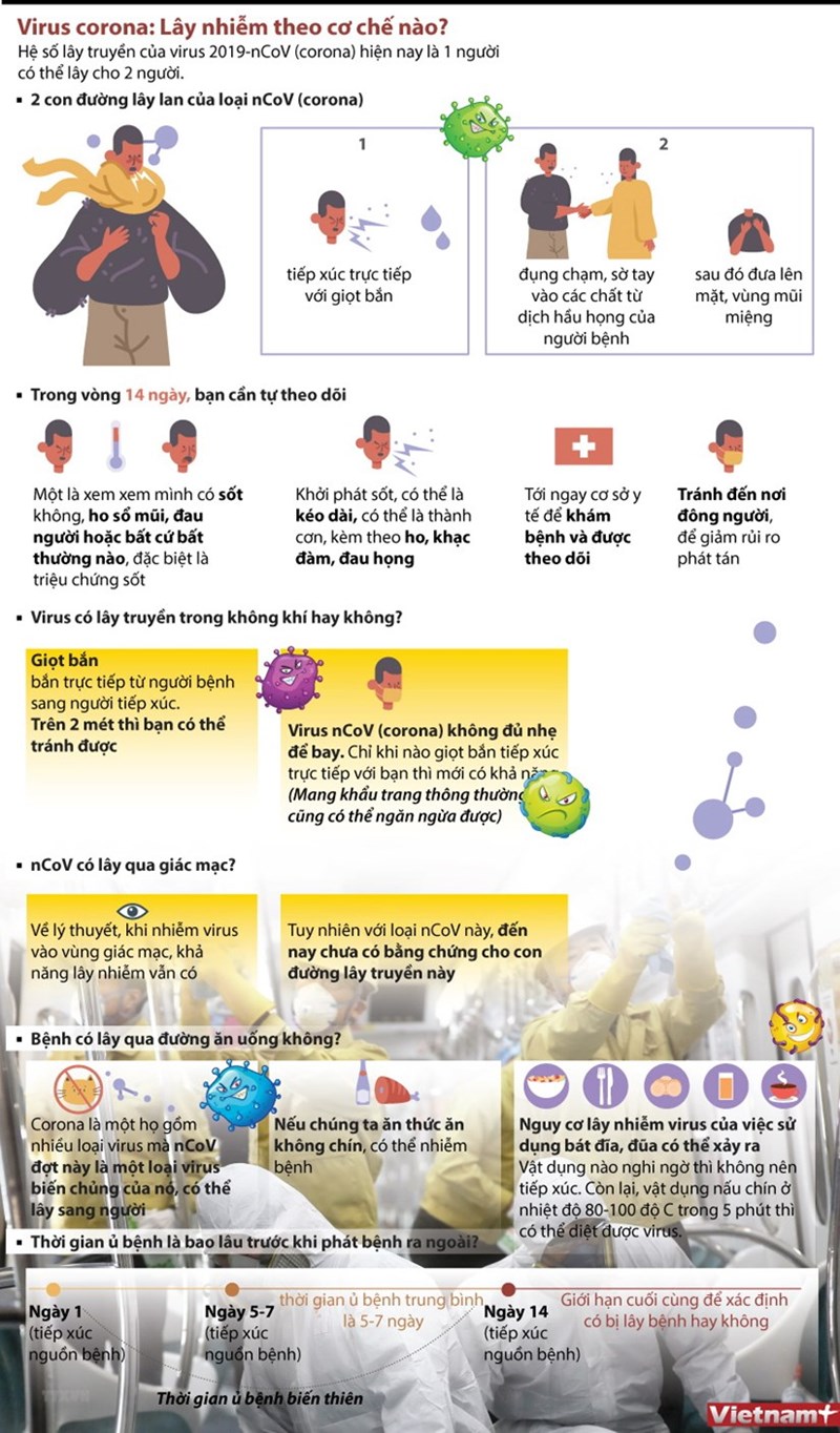[Infographics] Virus 2019-nCoV lây nhiễm theo cơ chế nào? - Ảnh 1