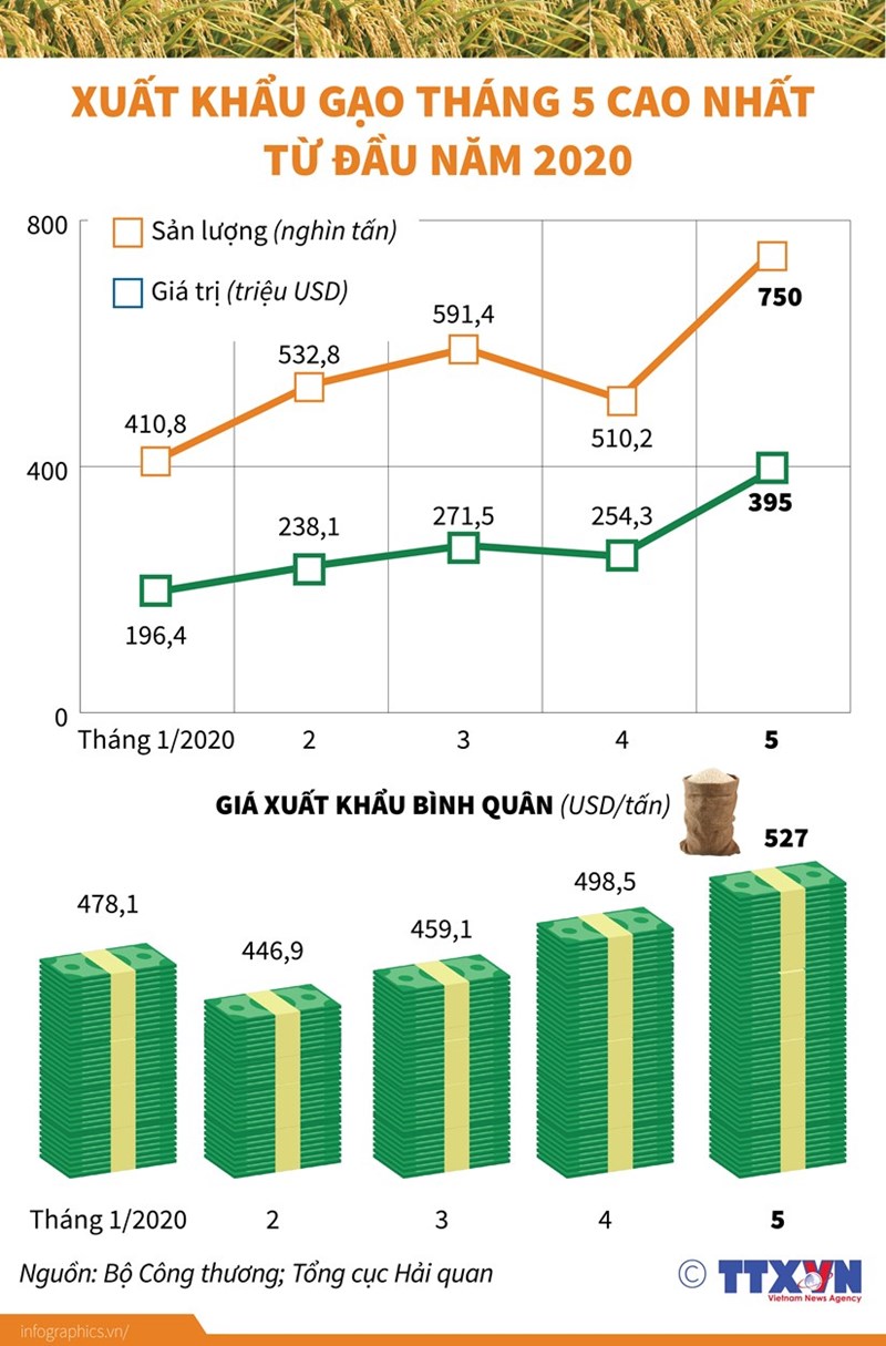 [Infographics] Xuất khẩu gạo tháng Năm cao nhất từ đầu năm 2020 - Ảnh 1