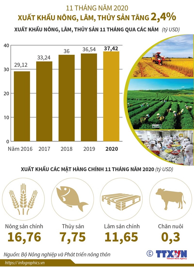 [Infographics] 11 tháng, xuất khẩu nông-lâm-thủy sản tăng 2,4% - Ảnh 1