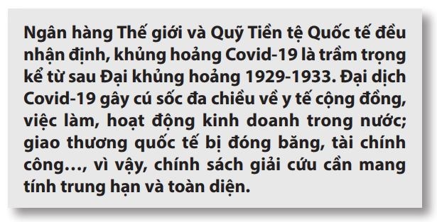Gợi ý chính sách hỗ trợ phát triển kinh tế Việt Nam hậu Covid-19  - Ảnh 3