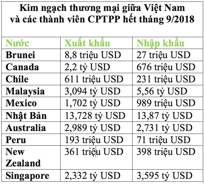 Vị trí của Việt Nam trong quan hệ thương mại với các nước CPTPP - Ảnh 1