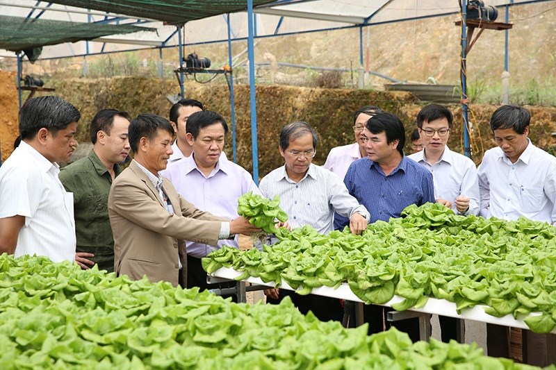 - Phó Thủ tướng Vương Đình Huệ thăm HTX trồng rau sạch Tân Tiến, Lâm Đồng, tháng 7/2017.
