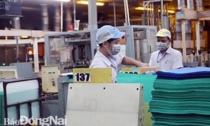 1.685 dự án trong khu công nghiệp tỉnh Đồng Nai hoạt động trở lại