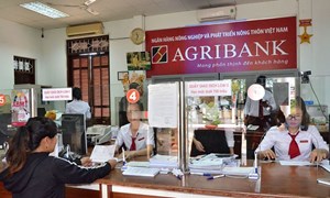 Nâng cao khả năng tiếp cận tín dụng của nông hộ tại ngân hàng Agribank tỉnh Trà Vinh