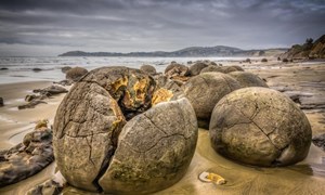 [Video] Hàng trăm khối đá tròn tồn tại 60 triệu năm ở New Zealand