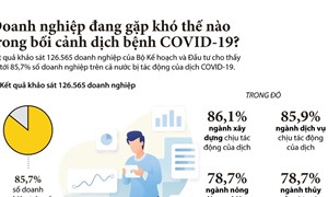 [Infographics] Doanh nghiệp đang gặp khó thế nào trong bối cảnh dịch bệnh COVID-19?
