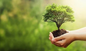 6 giải pháp nâng cao tính hiệu quả trong sử dụng nguồn lực về bảo vệ môi trường