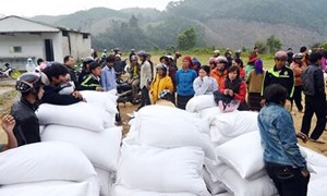 [Infographics] Ngành Dự trữ xuất cấp 52.454 tấn gạo hỗ trợ người dân trong 4 tháng đầu năm 