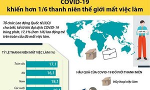 [Infographics] COVID-19 khiến hơn 17% thanh niên thế giới mất việc làm