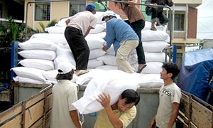 [Infographics] Xuất cấp 53.489 tấn gạo hỗ trợ người dân trong 5 tháng đầu năm 2021