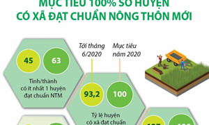 [Infographics] Mục tiêu 100% số huyện có xã đạt chuẩn nông thôn mới