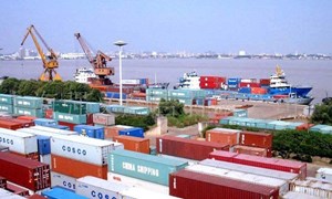 Xuất nhập khẩu hàng hóa của Việt Nam tăng 11,6% trong nửa cuối tháng 5/2021 