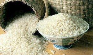 Giá lúa gạo hôm nay 29/6: Lúa Đài thơm 8 tăng 100 đồng