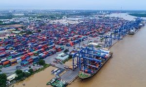 Tổng cục Hải quan giải quyết ùn tắc hàng hoá tại cảng Cát Lái 
