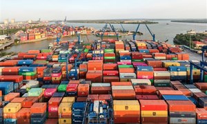 Bộ Tài chính phối hợp xử lý khó khăn để giải phóng hàng tại cảng Cát Lái