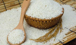 Giá lúa gạo hôm nay 10/8: Giá lúa tăng nhẹ, giá gạo tăng giảm trái chiều