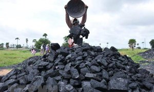  34 doanh nghiệp Indonesia bị cấm xuất khẩu than, Việt Nam thận trọng giao dịch