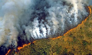 [Video] Rừng Amazon tan tác trong cơn hỏa hoạn tồi tệ nhất lịch sử
