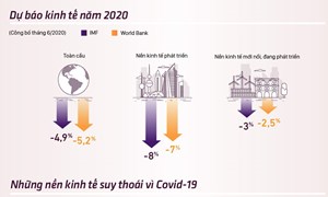 [Infographics] Những nền kinh tế suy thoái vì Covid-19