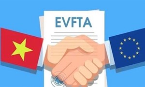 Biểu thuế xuất nhập khẩu ưu đãi của Việt Nam để thực hiện EVFTA 