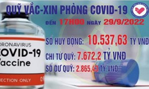 Quỹ Vắc xin phòng, chống COVID-19 còn dư 2.865,43 tỷ đồng