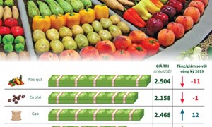 [Infographics] Kim ngạch xuất khẩu nhiều nông sản chủ lực giảm