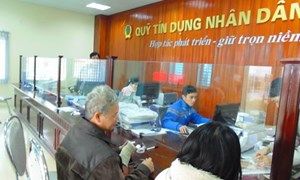 Hiệu quả hoạt động tín dụng của quỹ tín dụng nhân dân Mỹ Bình, tỉnh An Giang