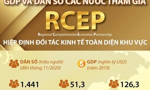[Infographics] Thông tin cơ bản về GDP và dân số các nước tham gia RCEP