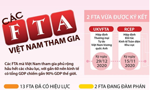 [Infographics] Những AFTA Việt Nam tham gia tính đến tháng 12/2020