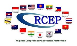 Quy tắc xuất xứ và cam kết cắt bỏ thuế quan trong RCEP