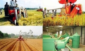 Vai trò của doanh nghiệp nông nghiệp đối với công nghiệp hóa, hiện đại hóa nông nghiệp, nông thôn ở TP. Hồ Chí Minh