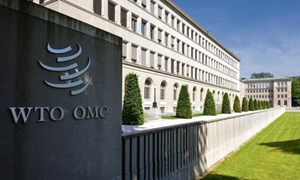 Liên minh châu Âu kêu gọi nhanh chóng lựa chọn lãnh đạo mới cho WTO