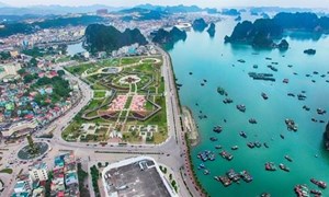 Tạm dừng quy hoạch đặc khu Bắc Vân Phong, tạo điều kiện thu hút đầu tư