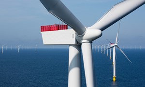 Quảng Bình kêu gọi doanh nghiệp Đức đầu tư vào lĩnh vực điện gió