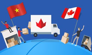 Việt Nam - Thị trường quan trọng về quy mô với doanh nghiệp Canada