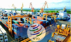 WTO ra mắt cơ sở dữ liệu mới về cấp giấy phép nhập khẩu