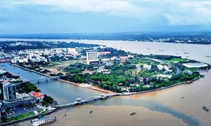 Khai thác tiềm năng để phát triển nông sản cho vùng Đồng bằng sông Cửu Long