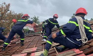 Doanh nghiệp bảo hiểm khẩn trương ​báo cáo thiệt hại và bồi thường bảo hiểm do bão Nuru