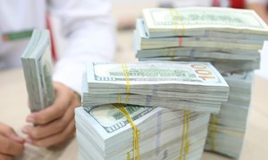 Kiều hối chuyển về TP. Hồ Chí Minh đạt 4,78 tỷ USD