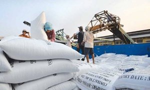 Tiến hành chấm điểm uy tín nhà thầu cung cấp gạo dự trữ quốc gia