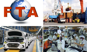 FTA phát huy hiệu quả: Xung lực thúc đẩy xuất khẩu
