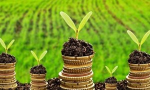Việt Nam có cơ hội đón sóng tài chính xanh