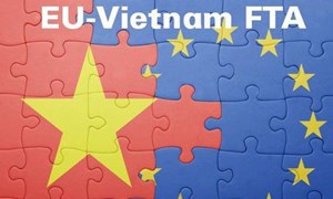 Xuất khẩu sang EU và những lưu ý cho doanh nghiệp Việt 
