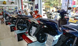 Honda Việt Nam sắp tung ra thị trường 18 mẫu xe máy mới
