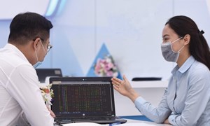 Các yếu tố ảnh hưởng đến quyết định của nhà đầu tư mới trên thị trường chứng khoán Việt Nam