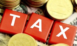 Một số vấn đề pháp lý về hoạt động đại lý thuế