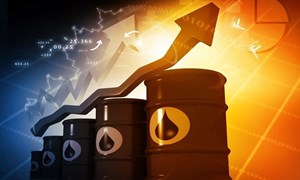 Ứng phó thế nào trước biến động bất thường của giá dầu thế giới?
