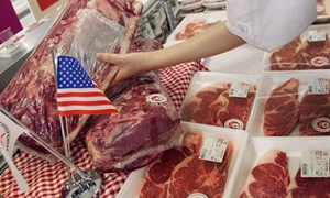 Hoa Kỳ trở thành thị trường xuất khẩu nông sản lớn nhất sang Việt Nam
