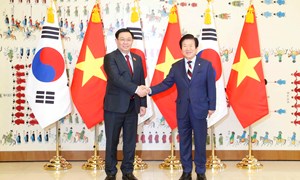 Hàn Quốc là đối tác quan trọng hàng đầu của Việt Nam trên nhiều lĩnh vực