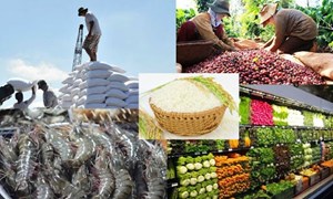 EVFTA và nông sản Việt Nam xuất khẩu: Thách thức, cơ hội và giải pháp